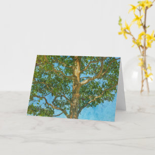 Beautiful Tree and Blue Sky Art Note Card