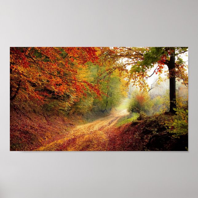 Beautiful Tree Avenue Autumn Season Poster (Front)