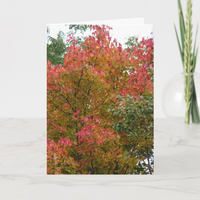 Beautiful Tree, God's Beauty Card (Front)