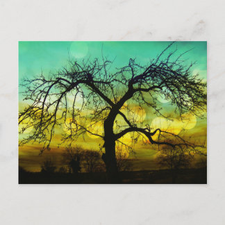 Beautiful Tree Silhouette at Sunset Ombre Aqua Postcard