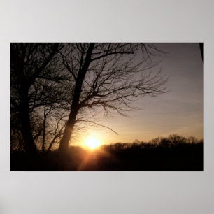 Beautiful Tree Sunset Landscape Photo Poster