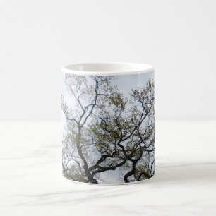 Beautiful Tree White Coffee Mug