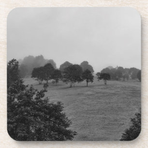 Beautiful trees and nature in fog coaster