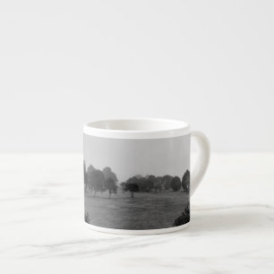 Beautiful trees and nature in fog espresso cup