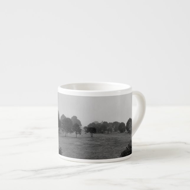 Beautiful trees and nature in fog espresso cup (Front Right)