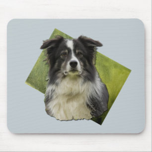 Beautiful Tri Coloured Border Collie on Green Art  Mouse Mat