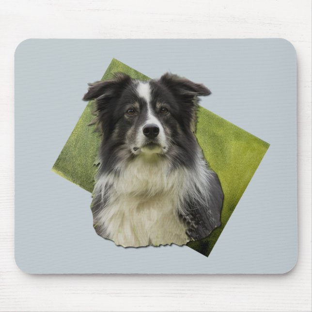 Beautiful Tri Coloured Border Collie on Green Art  Mouse Mat (Front)