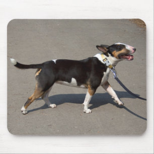Beautiful Tricolored Bullterrier Mouse Mat