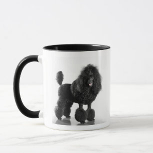 Beautiful, trimmed, black, complete poodle body mug