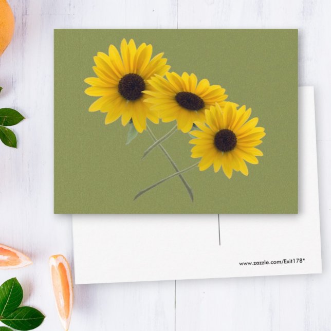 Beautiful Triple Sunflower Photography On Green Postcard (three sunflower photo front and blank back postcard)