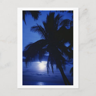 Beautiful Tropic Scenery Postcard