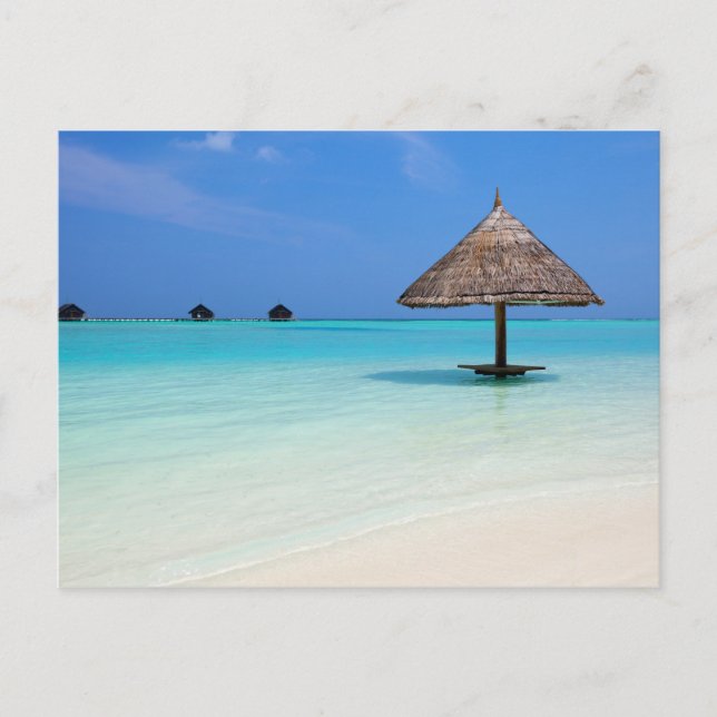 Beautiful tropical beach at Maldives Postcard (Front)
