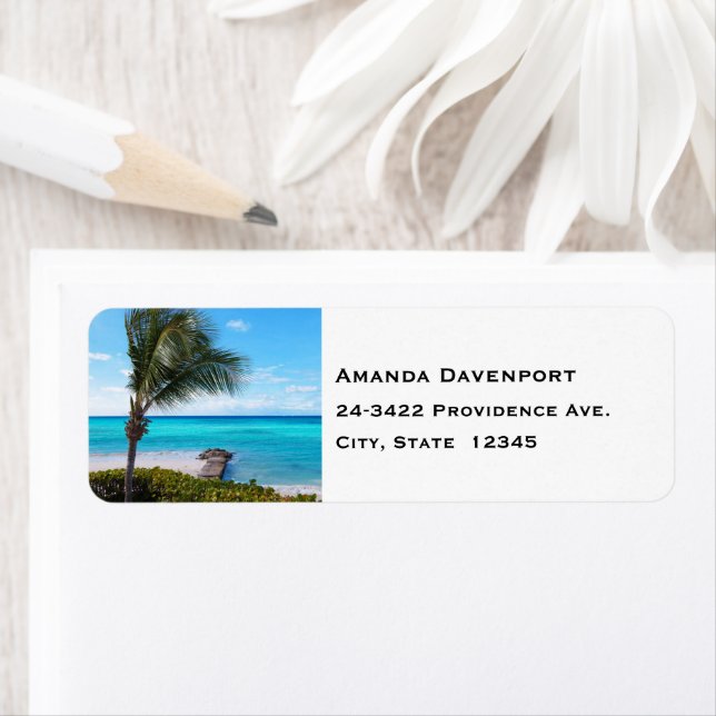 Beautiful Tropical Beach Breezy Palm Tree Address (Insitu)