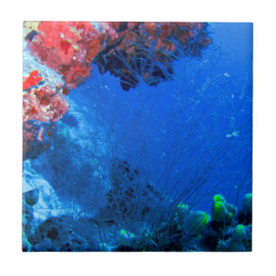Beautiful Tropical Colorful Coral Sea Reefs Tile