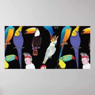 Beautiful tropical exotic parrot birds. vintage se poster