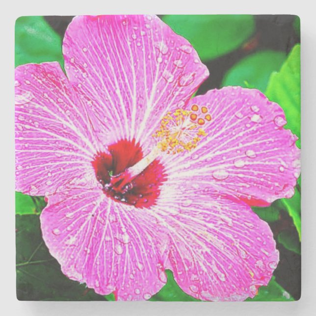 Beautiful Tropical Flower Stone Coaster (Front)