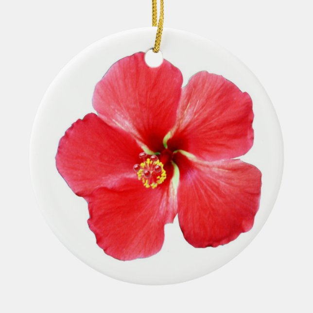 Beautiful Tropical Hibiscus Christmas Ornament (Front)