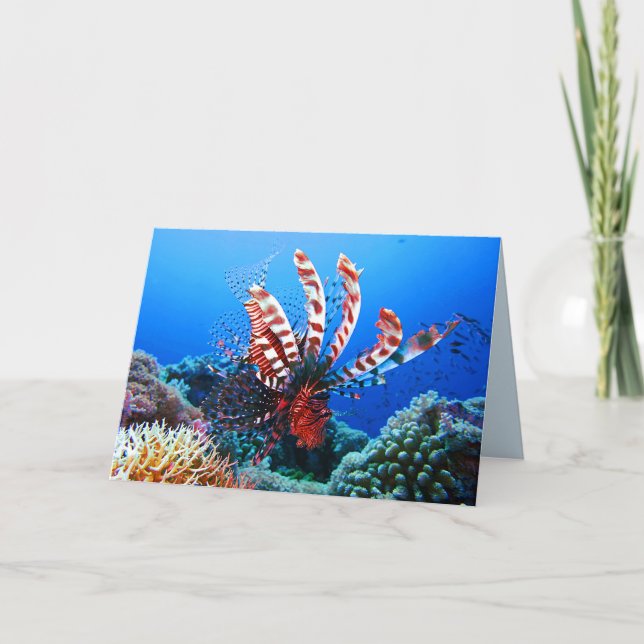 Beautiful Tropical Lionfish Card (Front)
