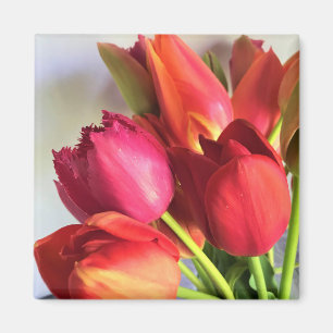 Beautiful Tulip Bouquet Magnet