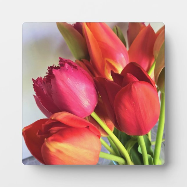 Beautiful Tulip Bouquet Plaque (Front)