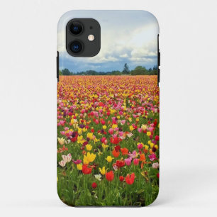 Beautiful Tulip Field, Oregon iPhone 11 Case