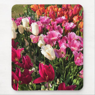Beautiful Tulip Garden Bed, Oregon Mouse Mat