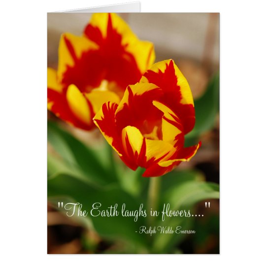 Beautiful Tulips Card