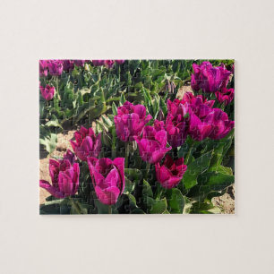 Beautiful Tulips Jigsaw Puzzle