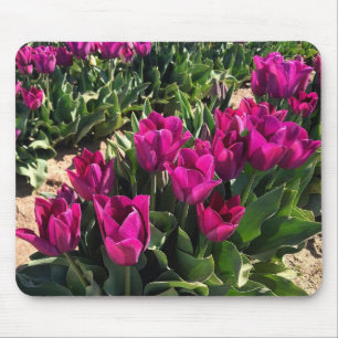 Beautiful Tulips Mouse Mat