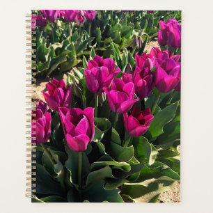 Beautiful Tulips Planner