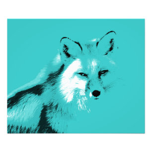 Beautiful Turquoise Blue Fox Photo Print