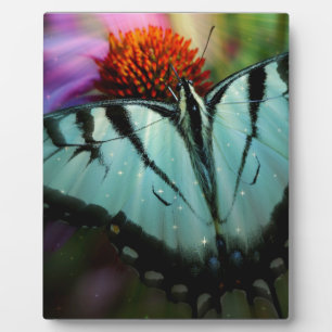 Beautiful Turquoise Swallowtail Butterfly Plaque