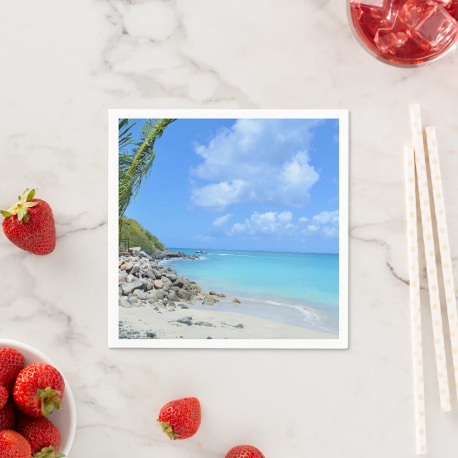 Beautiful Turquoise Tropical Beach Napkin (Insitu)