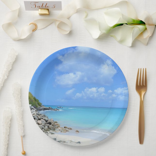 Beautiful Turquoise Tropical Beach Paper Plate (Wedding)