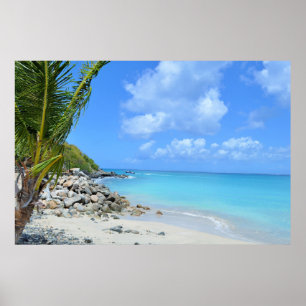 Beautiful Turquoise Tropical Beach Poster