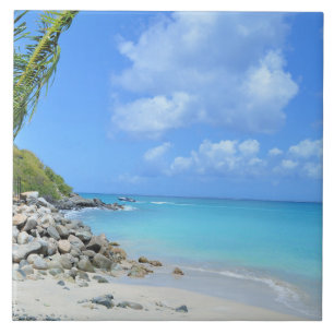 Beautiful Turquoise Tropical Beach Tile