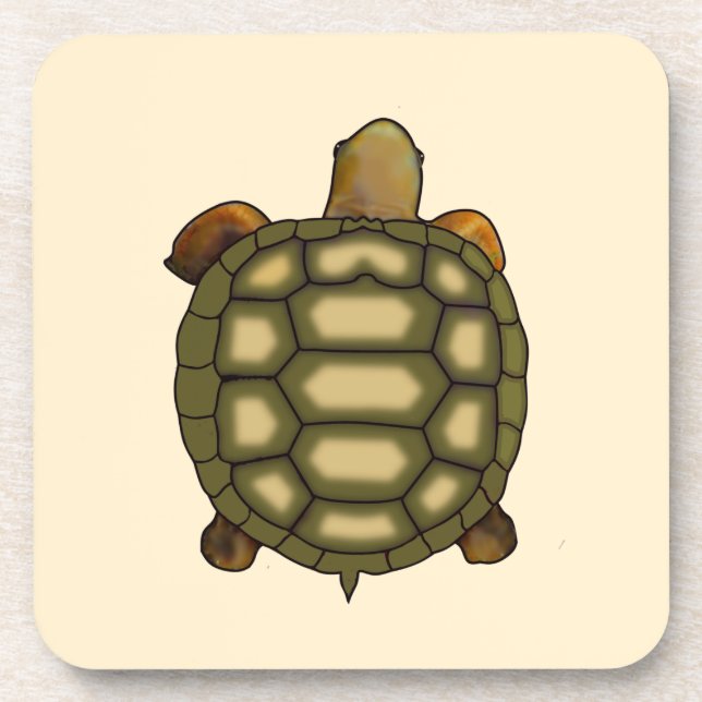 Beautiful Turtle on Light Champagne Beige Coaster (Front)