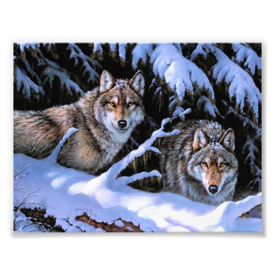 Beautiful Two Wolves Paintings Photo Print | Zazzle.co.uk