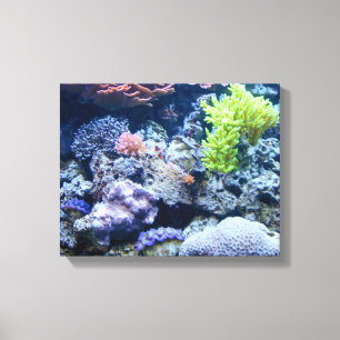 beautiful underwater ocean scene, colourful sea canvas print