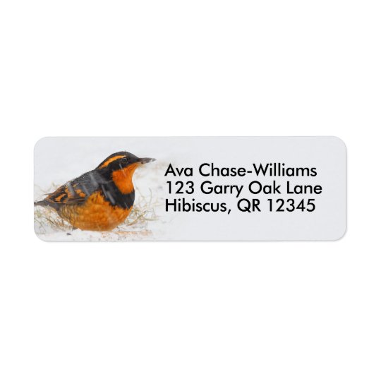 Beautiful Varied Thrush on a Snowy Winter's Day Return Address Label