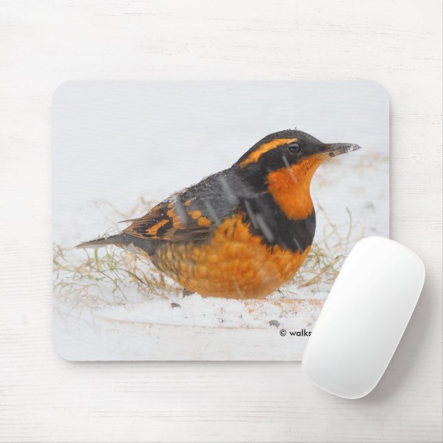 Beautiful Varied Thrush Songbird in the Snow Mouse Mat (With Mouse)