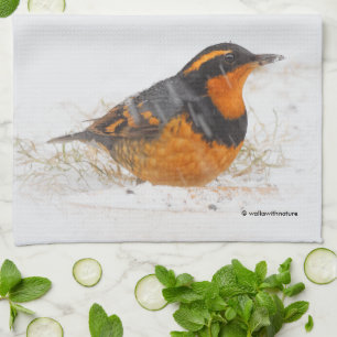 Beautiful Varied Thrush Songbird in the Snow Tea Towel