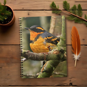 Beautiful Varied Thrush Songbird in the Tree Notebook