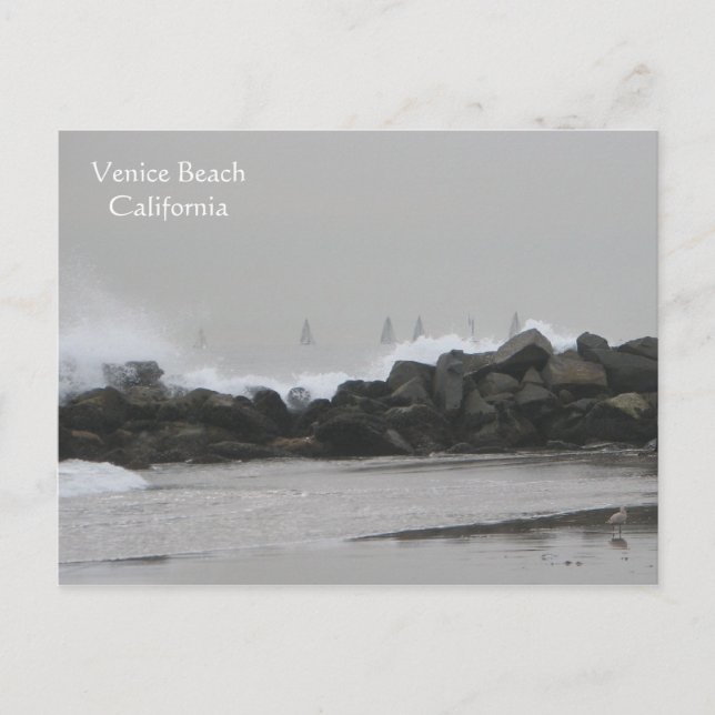 Beautiful Venice Beach Postacard! Postcard (Front)