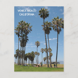 Beautiful Venice Beach Postcard! Postcard