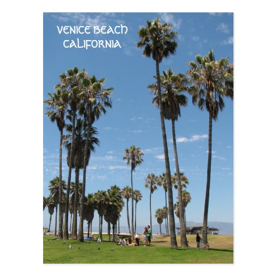 Beautiful Venice Beach Postcard! Postcard