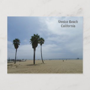 Beautiful Venice Beach Postcard! Postcard