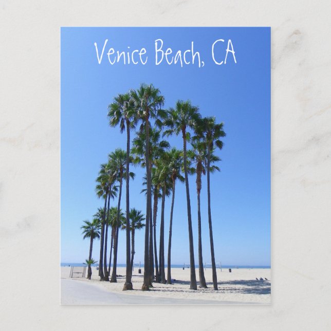 Beautiful Venice Beach Postcard! Postcard (Front)