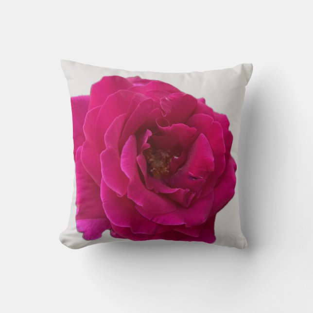 Beautiful Vibrant Hot Pink Rose in Full Bloom Cushion (Front)