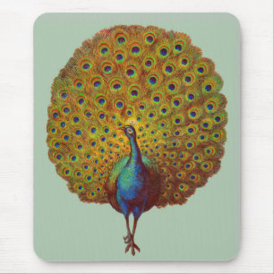 beautiful Victorian peacock print Mouse Mat